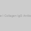 Rat Anti-Porcine Type I Collagen IgG Antibody Assay Kit, (OPD)